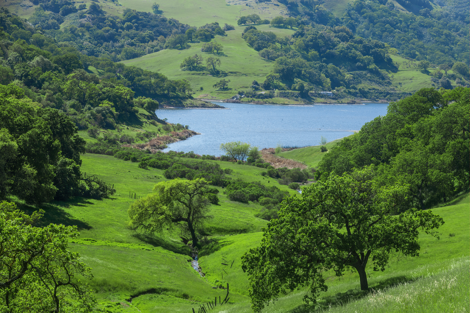 An image depicting the trail Oak Cove and Los Cerritos Loop Trail and its surrounding area.
