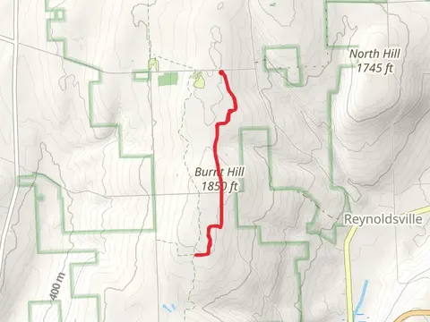 Burnt Hill Trail Out and Back