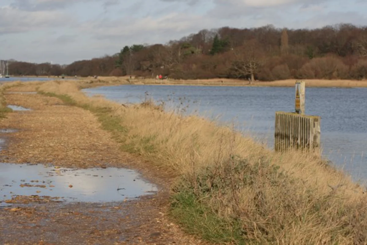River Hamble and Holly Hill Woodland Park Loop