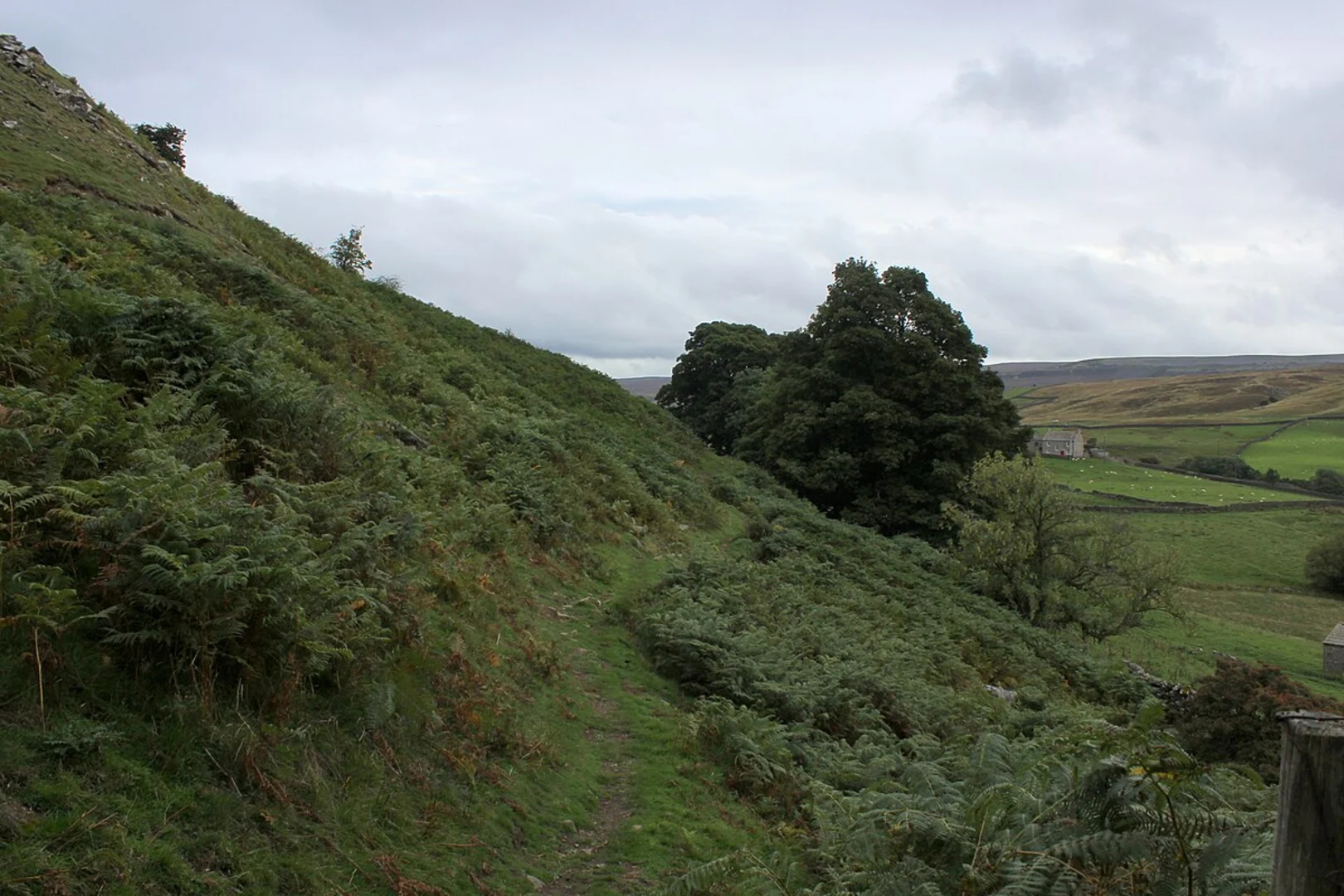 An image depicting the trail Reeth to Marrick Loop and its surrounding area.