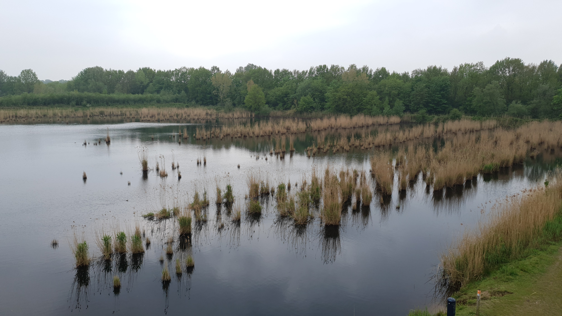 An image depicting the trail Broekmaatweg, Helweg and Euregioweg Loop and its surrounding area.
