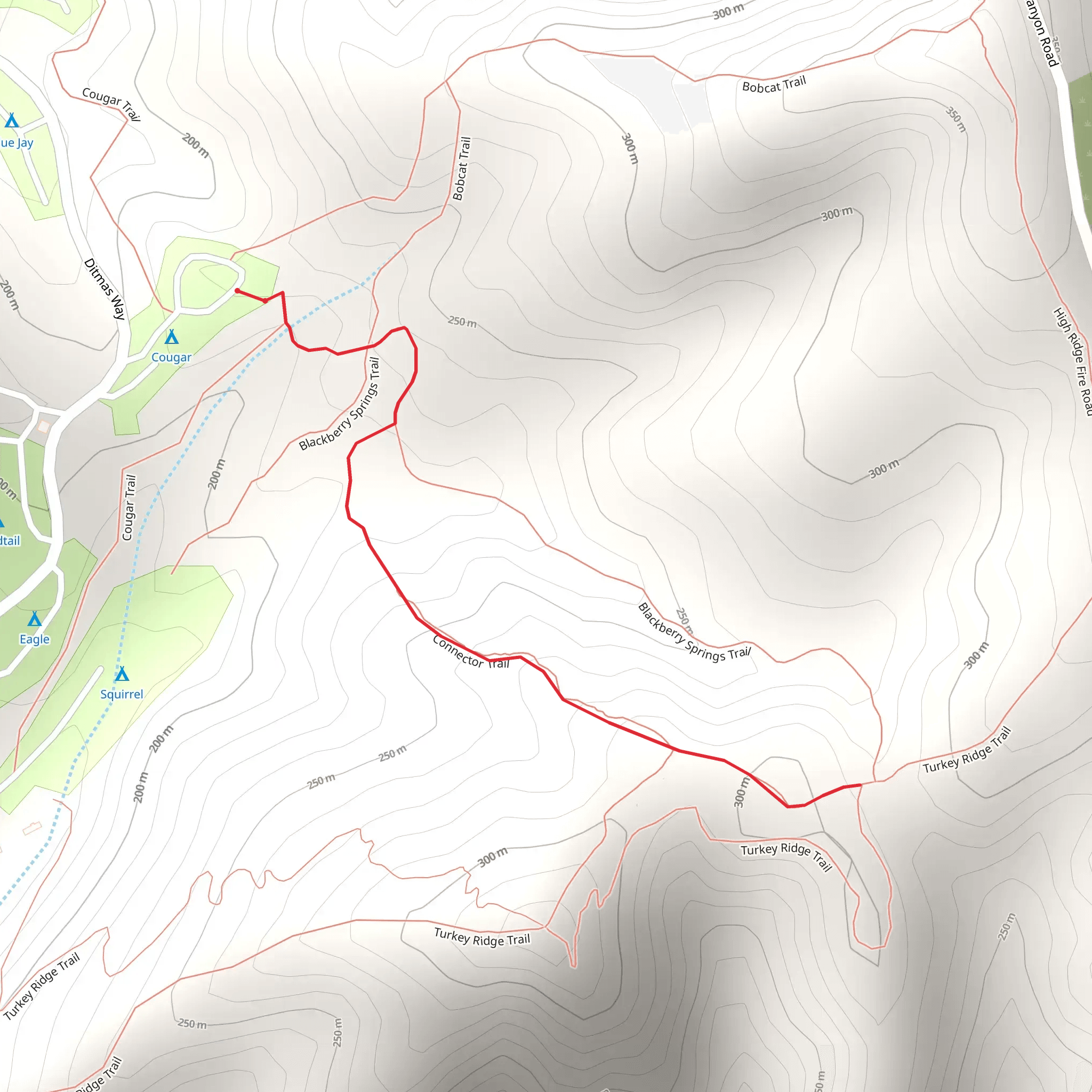 Connector Trail via Cougar Trail mobile static map