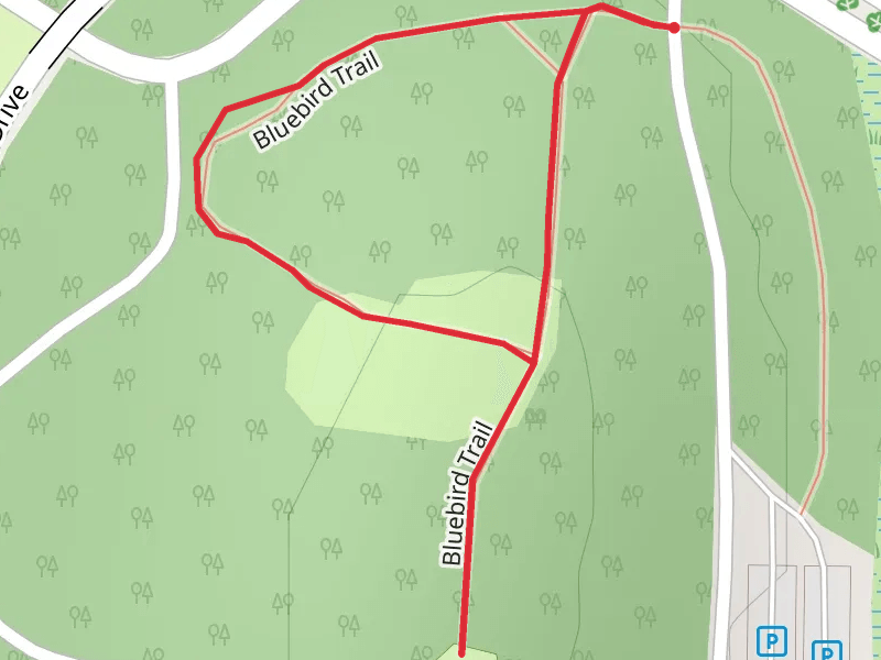 Bluebird Loop Trail