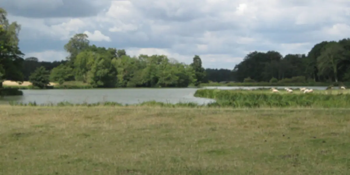 Balsall Common circular