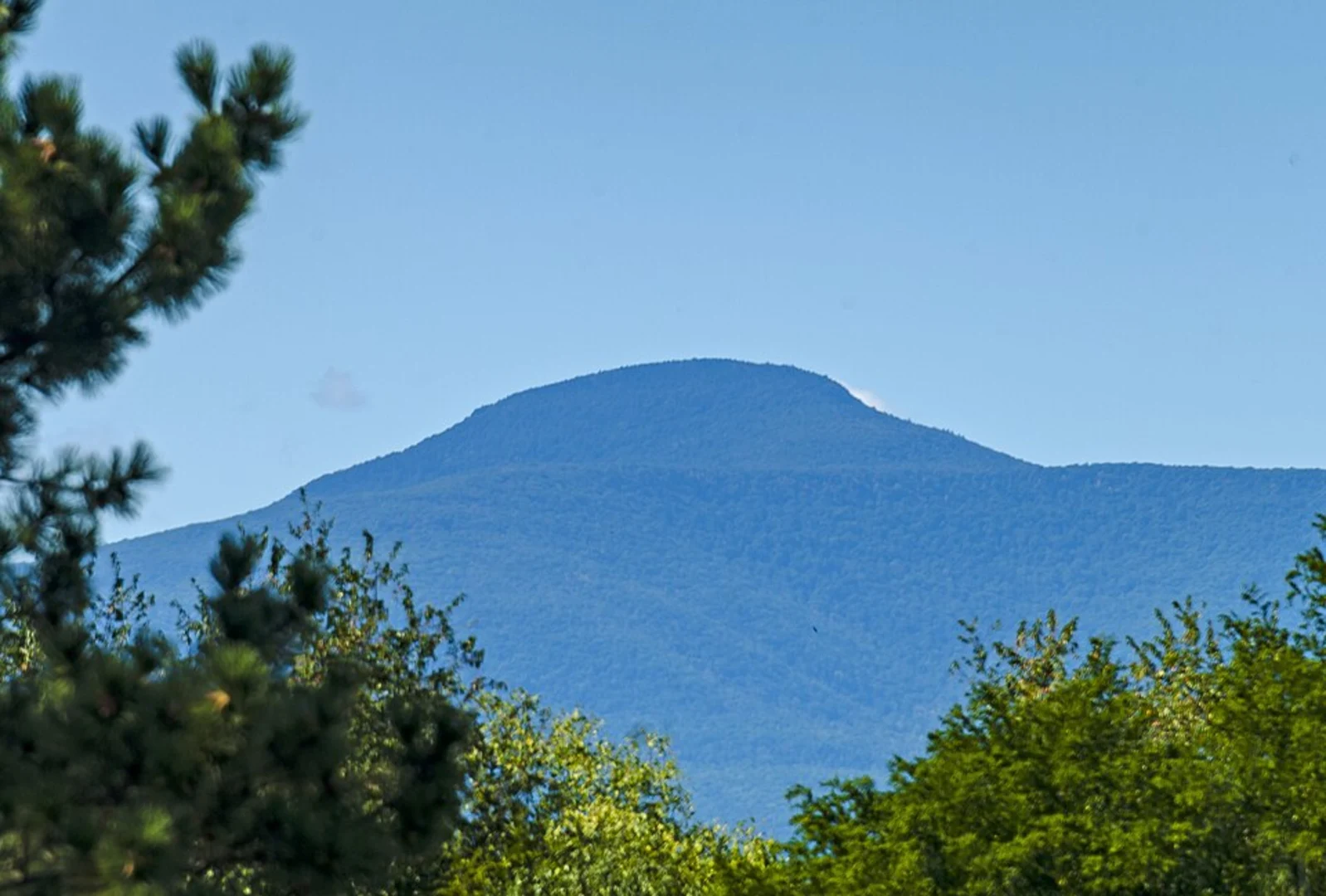 An image depicting the trail Kaaterskill High Peak Trail Loop via Gillespie Road and its surrounding area.