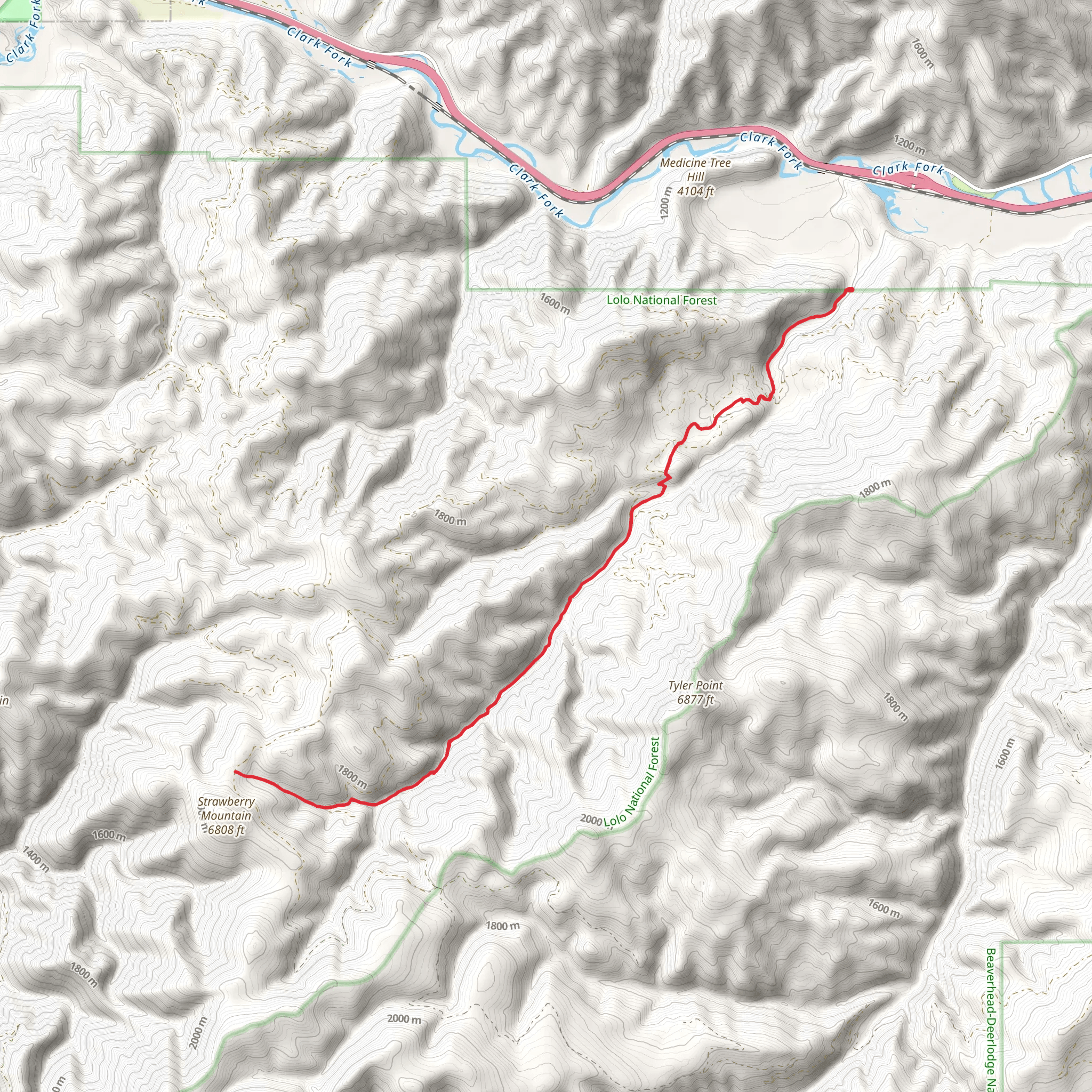 Tyler Creek Trail mobile static map