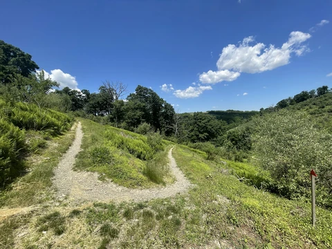Jordan Creek Loop via Elk Viewing Trail