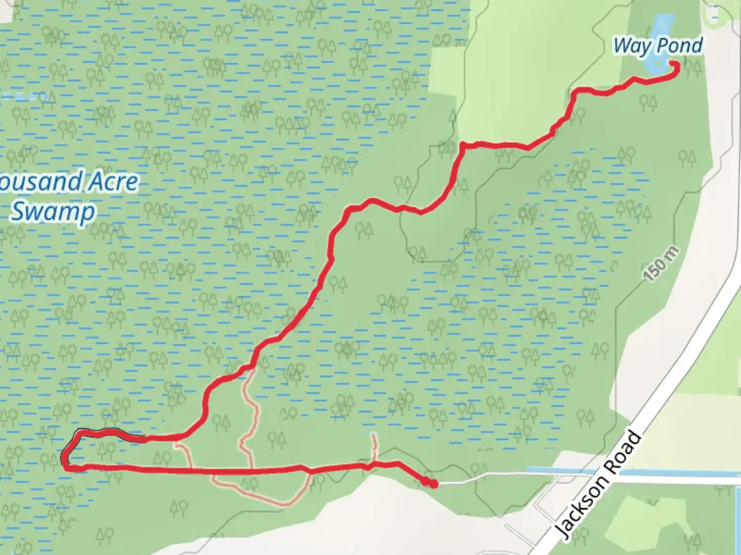 An image depicting the trail Thousand Acre Swamp and its surrounding area.