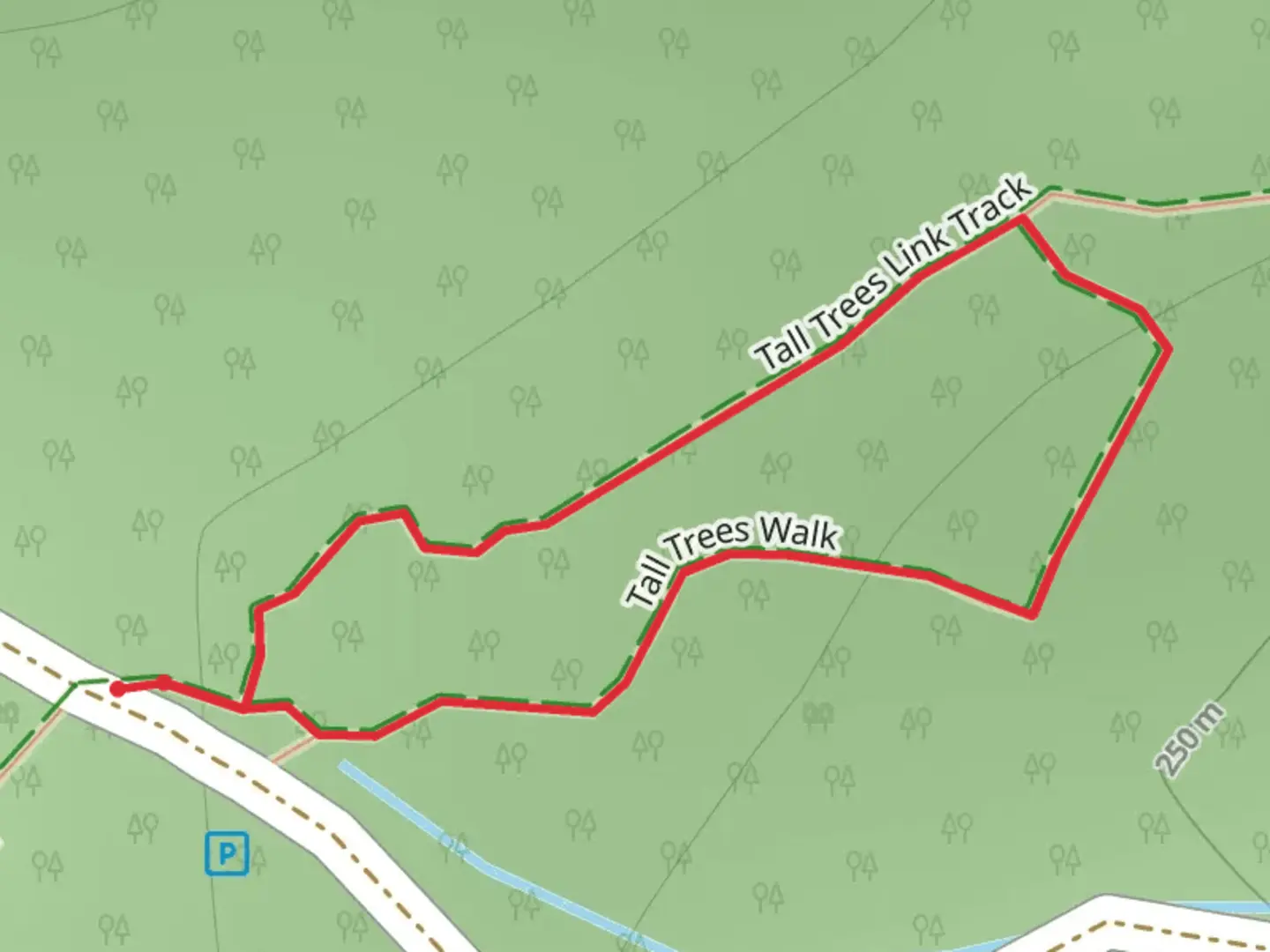 An image depicting the trail Tall Trees Trail and its surrounding area.