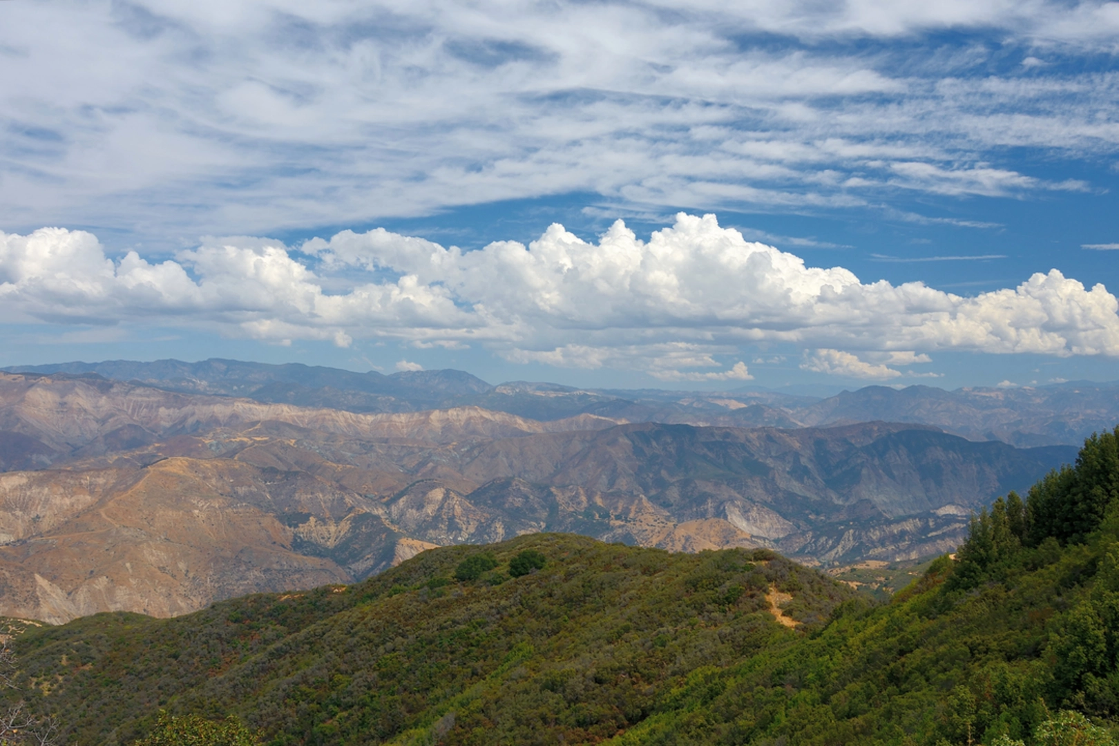 An image depicting the trail Little Mutau Trail and its surrounding area.