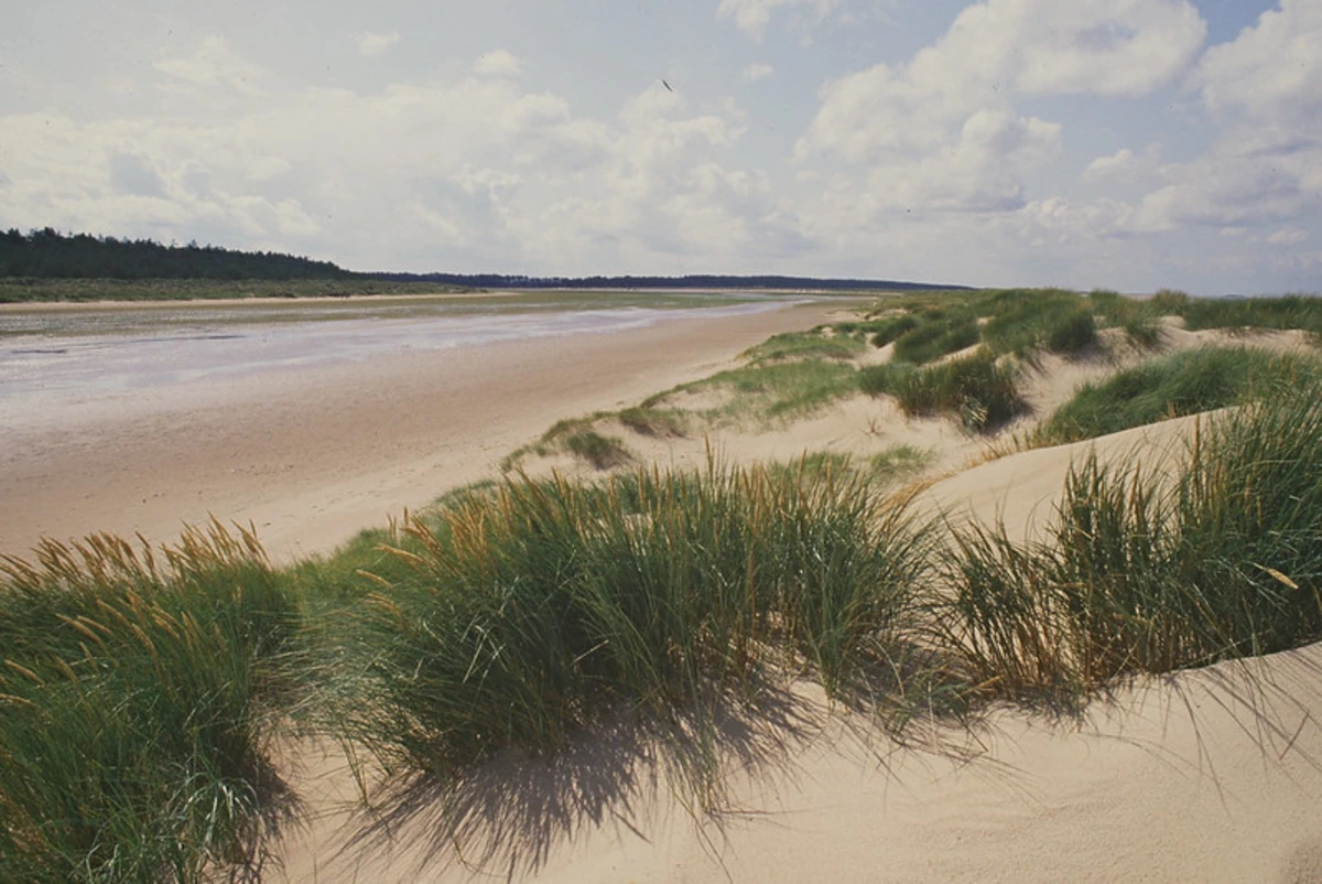 Wells Harbour and Holkham Naturist Beach Loop