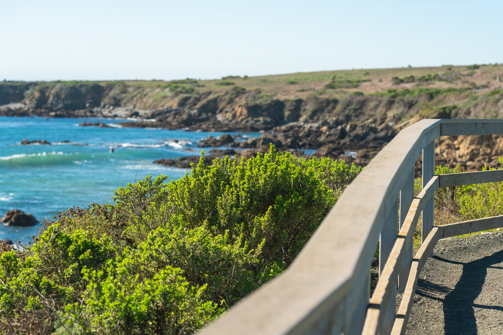 An image depicting the trail Hearst San Simeon State Park and its surrounding area.