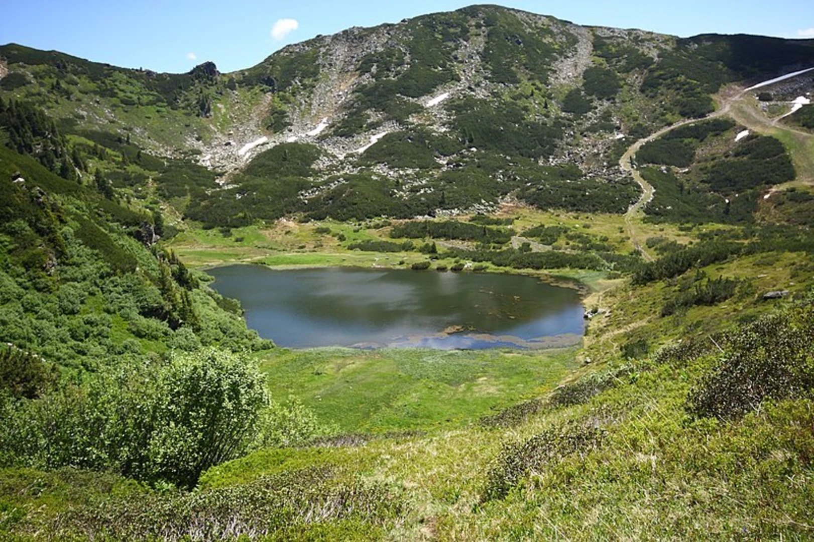An image depicting the trail Plannersee Lake and its surrounding area.