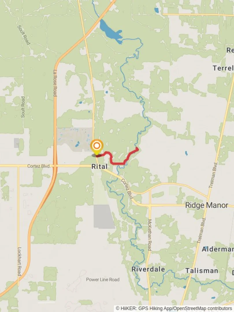 An image depicting the trail Withlacoochee River Trail - Rital and its surrounding area.