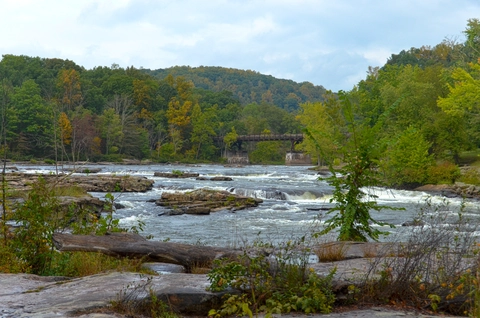 An image depicting the trail Ohiopyle - Great Gorge Loop Trail and its surrounding area.
