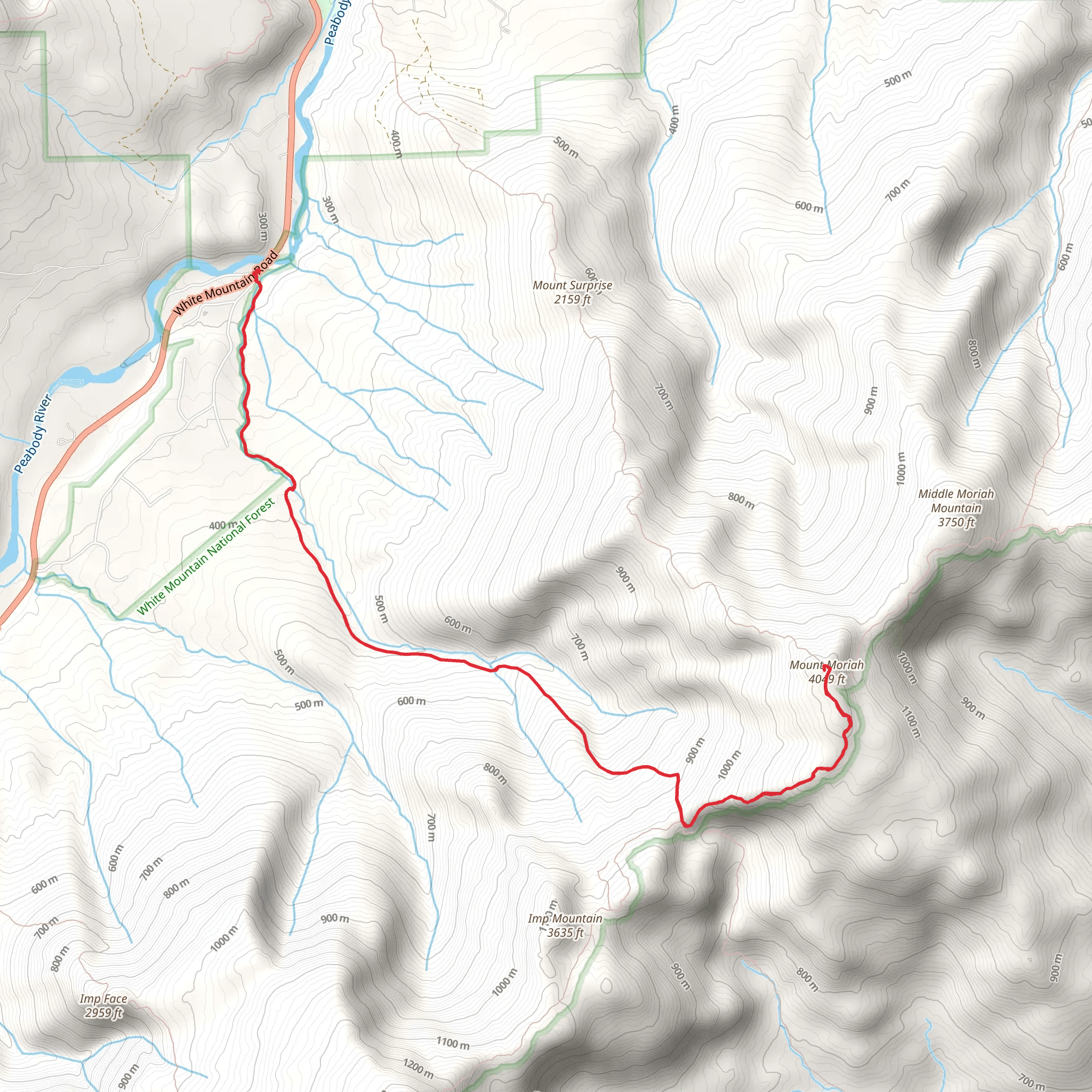 Mount Moriah via Stony Brook Trail mobile static map
