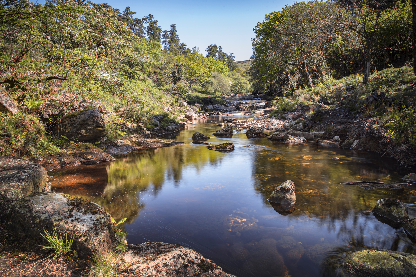 An image depicting the trail Shipley Bridge to Avon Dam and its surrounding area.