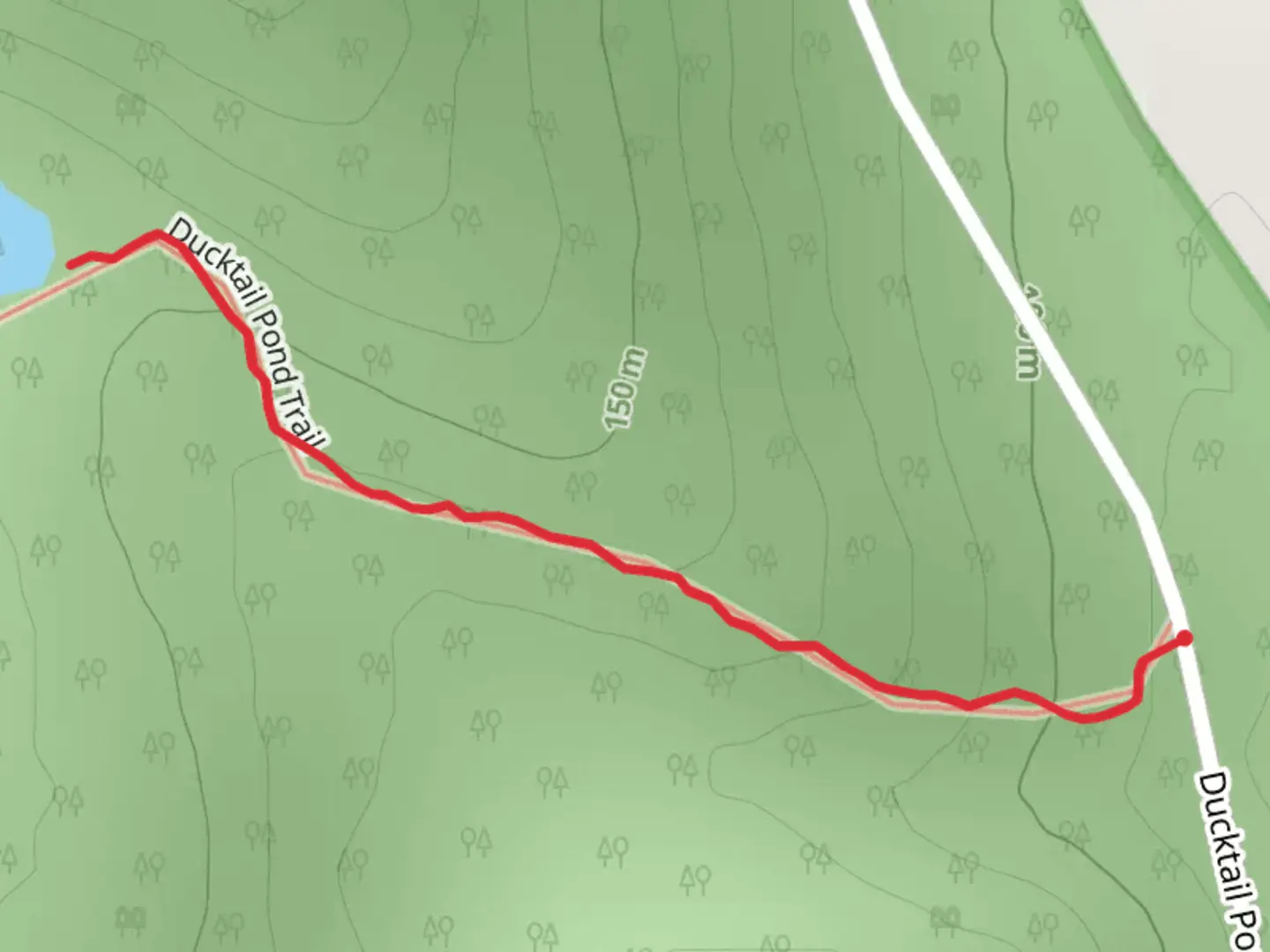 An image depicting the trail Wilson Pond from Ducktail Pond Road and its surrounding area.