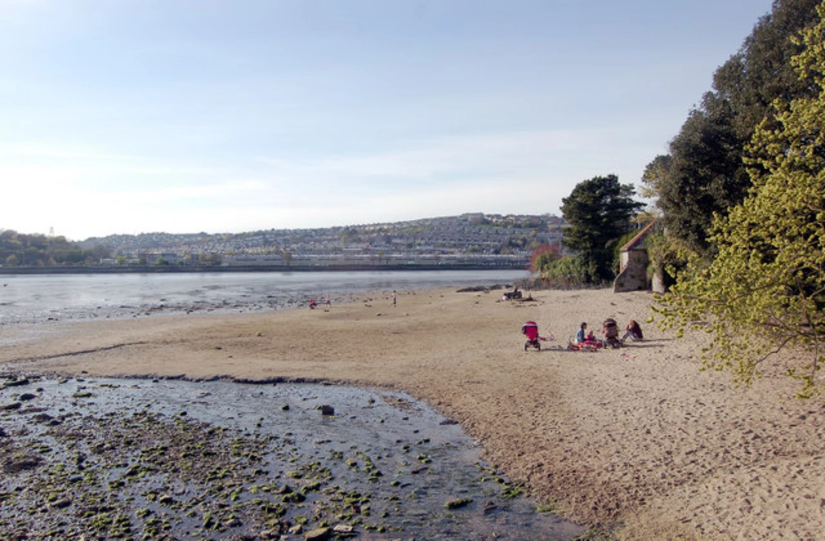 An image depicting the trail Saltram Wood Loop and its surrounding area.