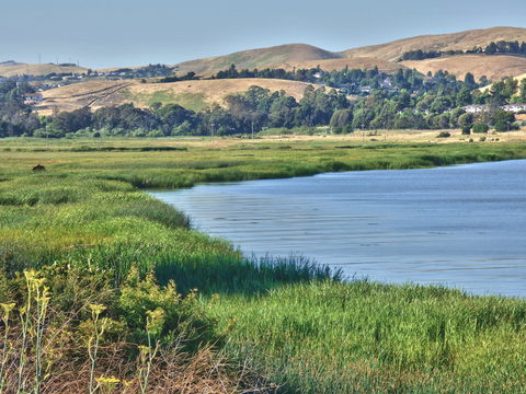 Carquinez Strait and Overlook Trail