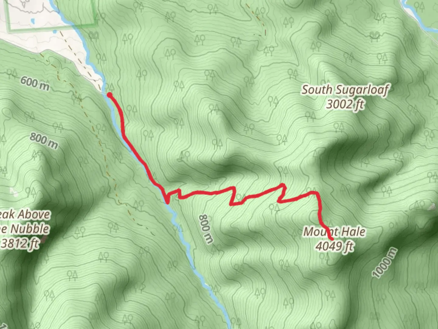 An image depicting the trail Mount Hale Trail and its surrounding area.
