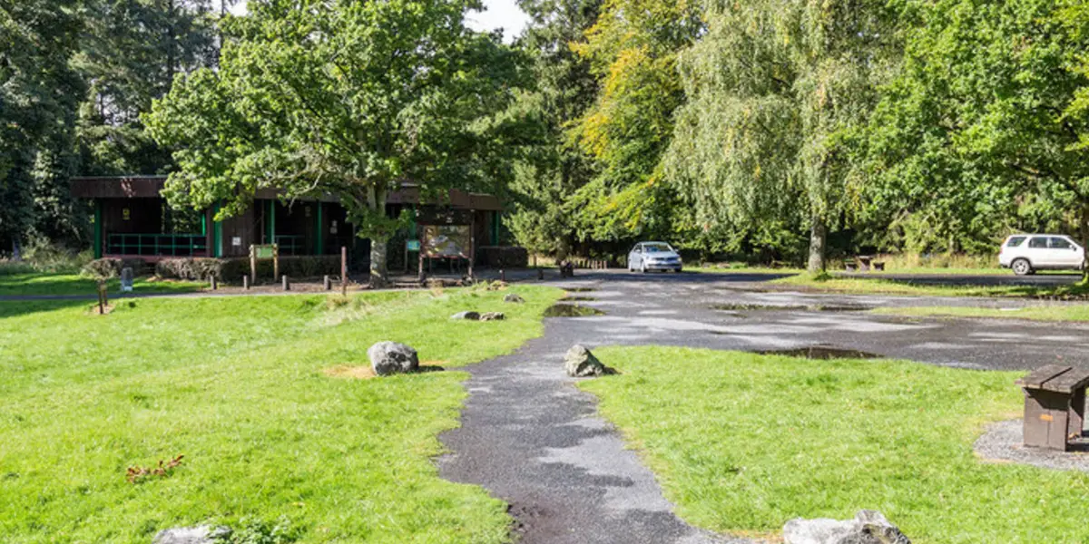 Portumna Forest Park Loop