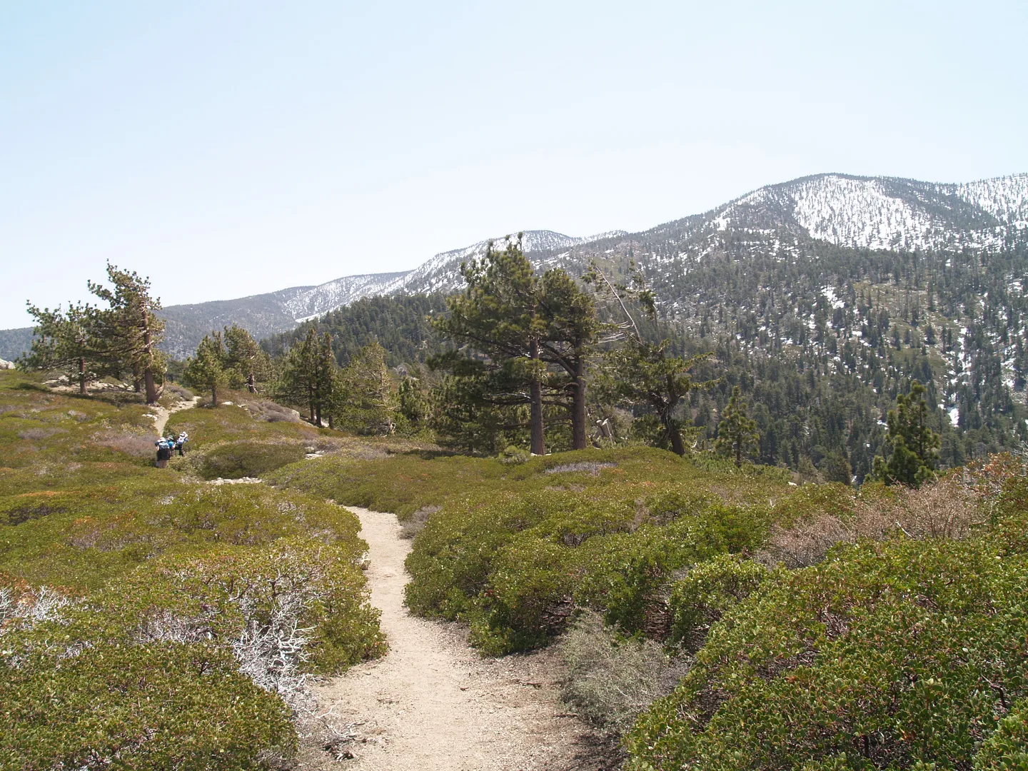 An image depicting the trail San Bernardino Peak via Momyer Creek Trail and its surrounding area.