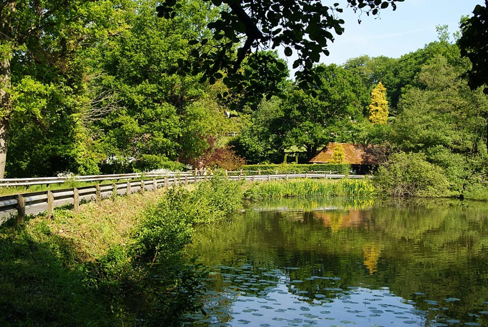 An image depicting the trail Stedham and Chithurst Loop via Hammer Wood and its surrounding area.