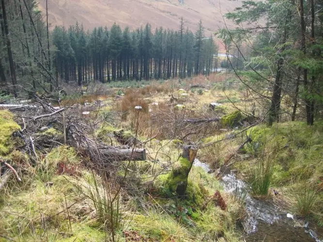 Loch Brittle to Loch Bracadale Loop Highland Scotland