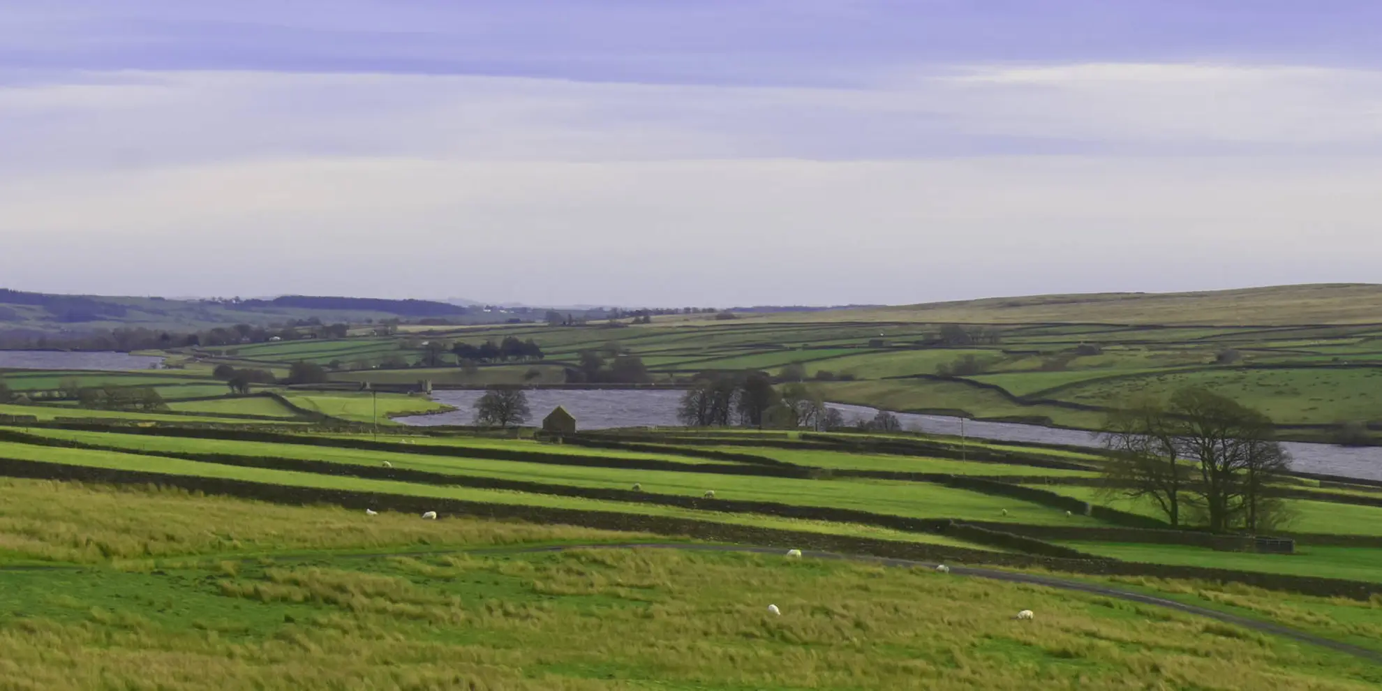 An image depicting the trail Romaldkirk Moor from Mickleton and its surrounding area.