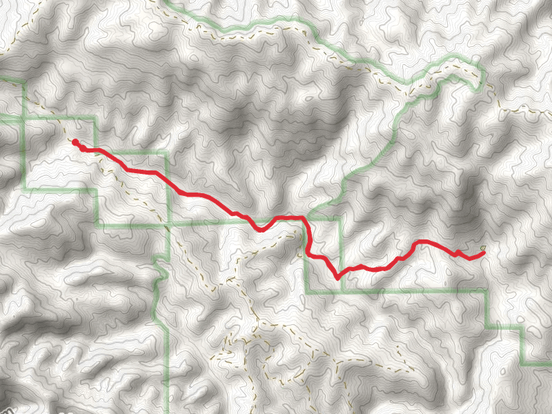 Buckeye Campsite via Trout Creek Trail