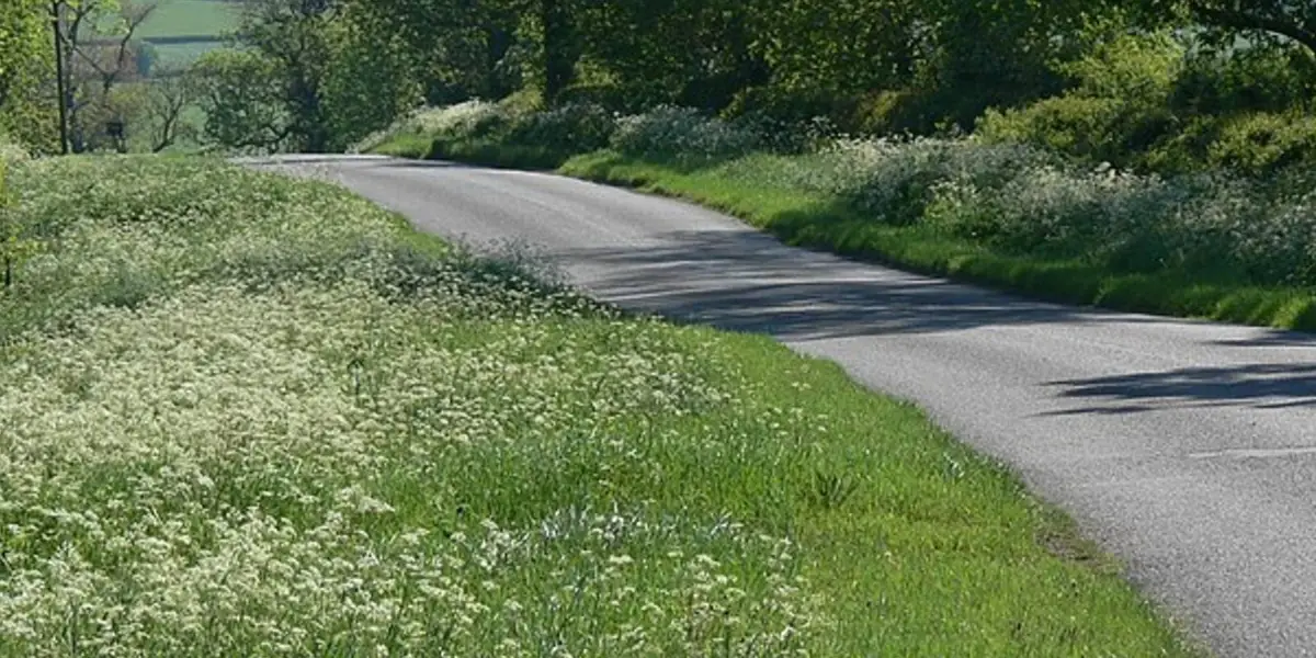 Ashby Folville - Thorpe Satchville - Twyford and Midshires Way