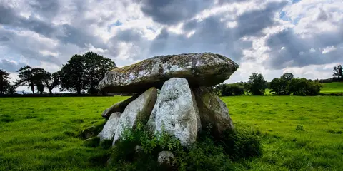 An image depicting the trail Clogrennane Wood Loop and its surrounding area.