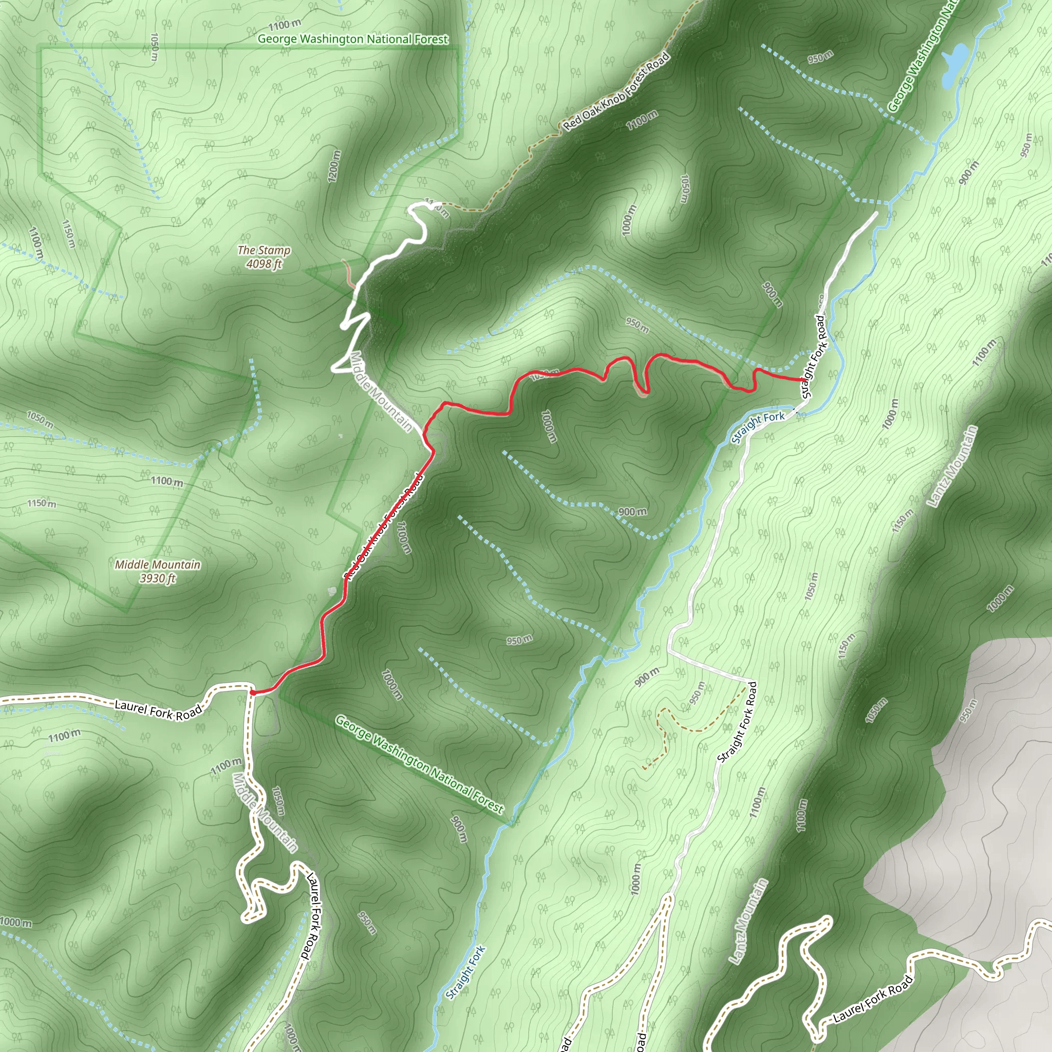 Straight Fork Trail mobile static map