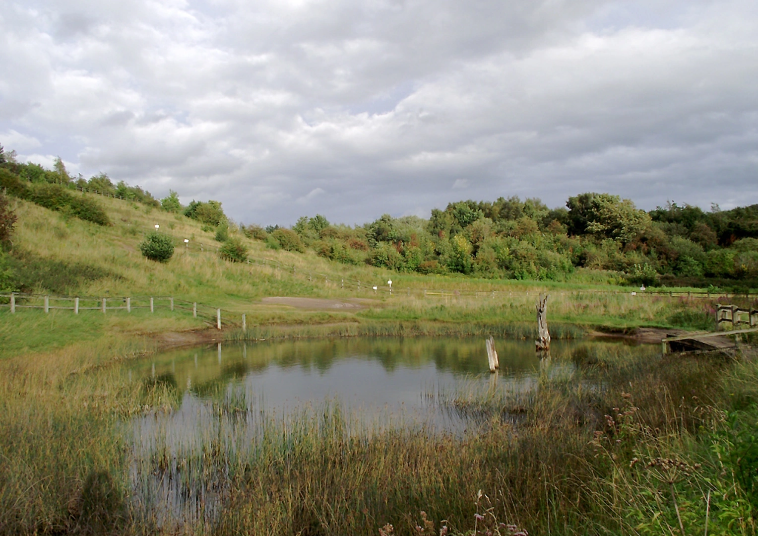 An image depicting the trail Marshalls Wood Walk and its surrounding area.