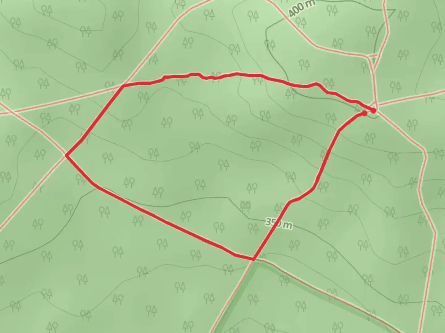 An image depicting the trail Lol Gray Loop and its surrounding area.