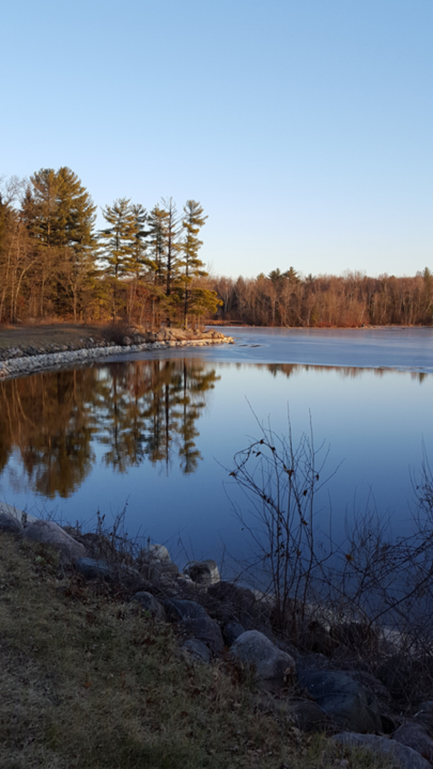 An image depicting the trail Chute Pond Scenic Overlook Trail and its surrounding area.