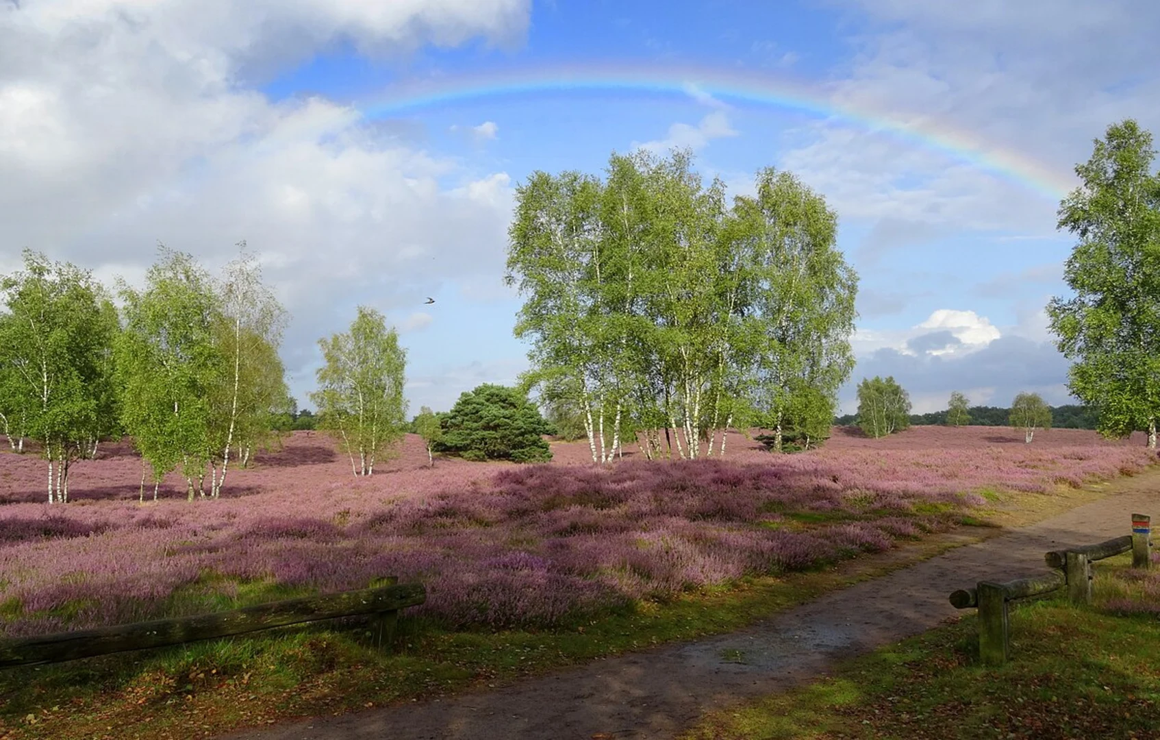 An image depicting the trail Weseler Berge Loop and its surrounding area.