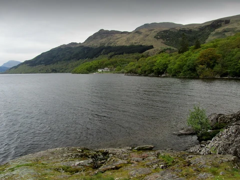 An image depicting the trail Ben Lomond Memorial Loop and its surrounding area.
