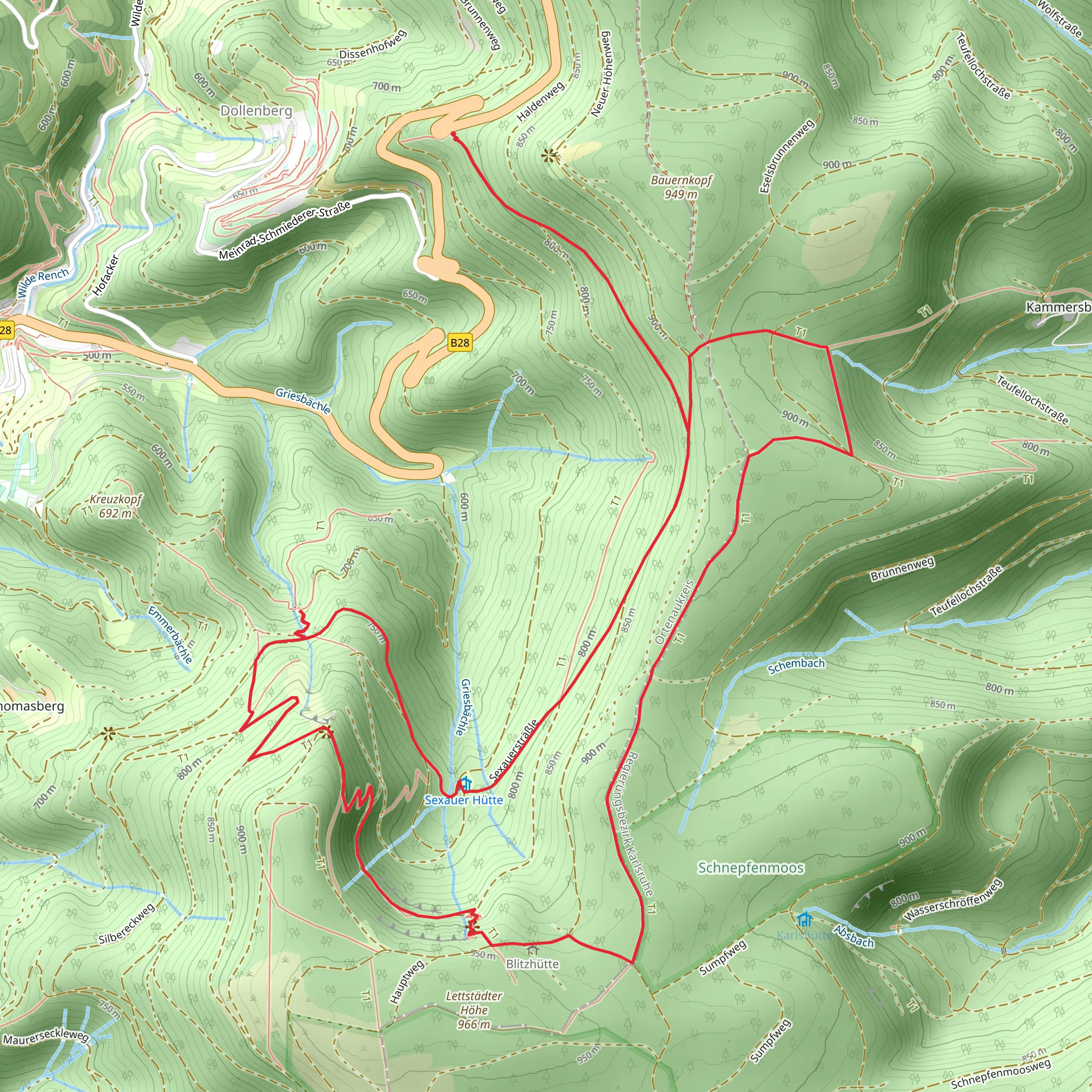 Seauer Hutte, Marienruhe, Teufelskanzel and Hildahutte Loop mobile static map