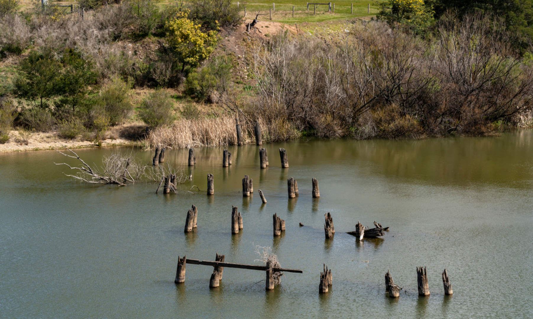 An image depicting the trail Gippsland Plains Trail - Maffra to Stratford and its surrounding area.