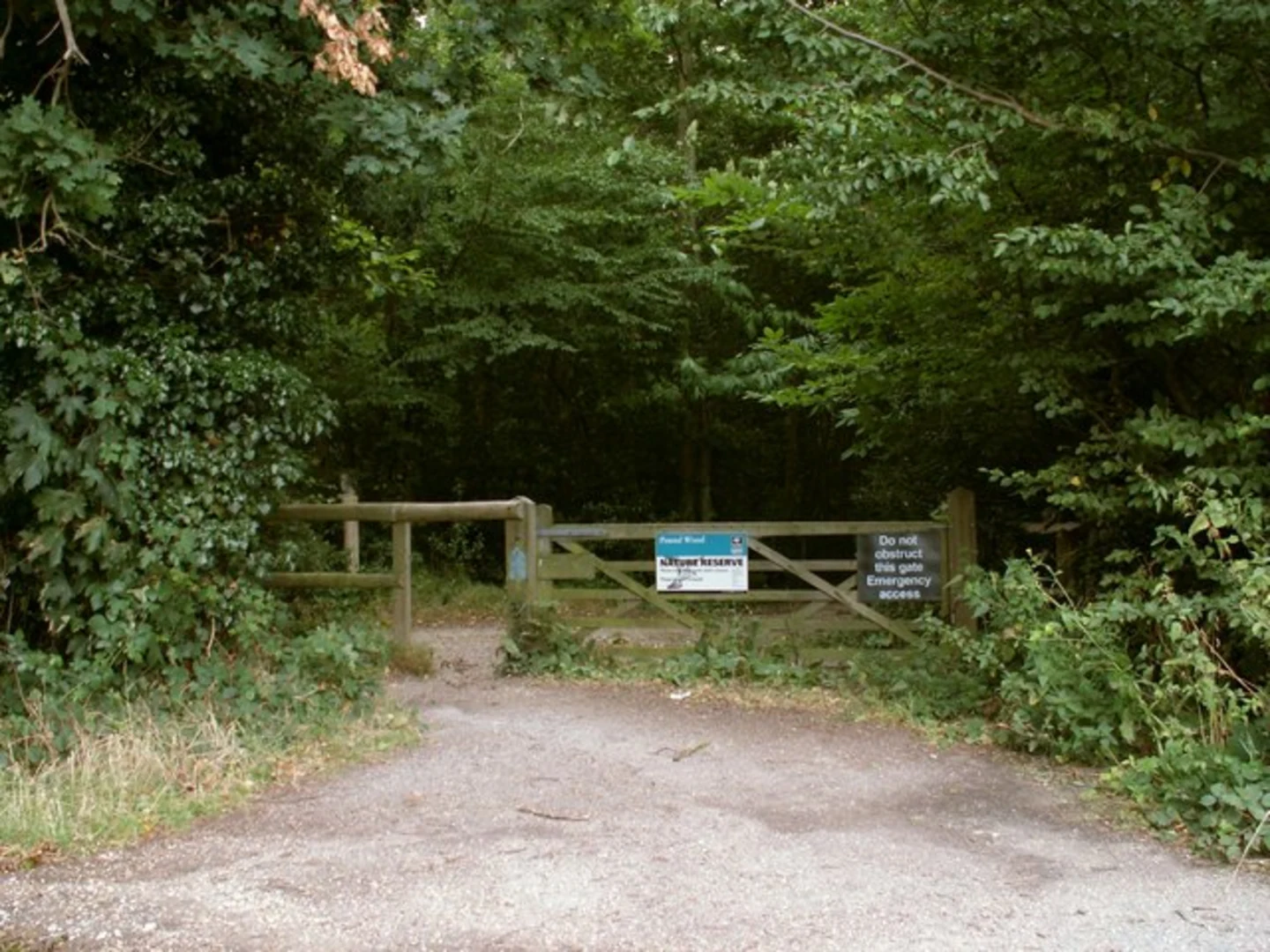 An image depicting the trail Galleywood to Hanningfield Reservoir Loop and its surrounding area.