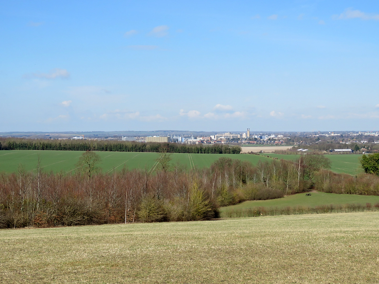 An image depicting the trail Magog Down and Wandlebury Country Park Loop and its surrounding area.