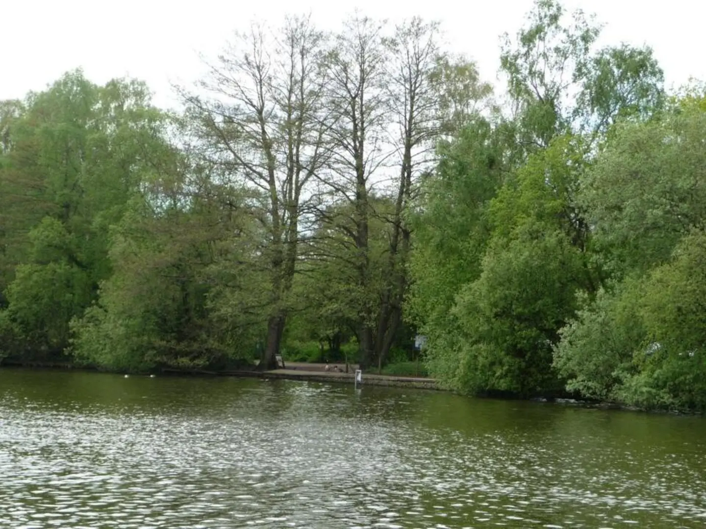 An image depicting the trail Shakerley Mere Loop and its surrounding area.