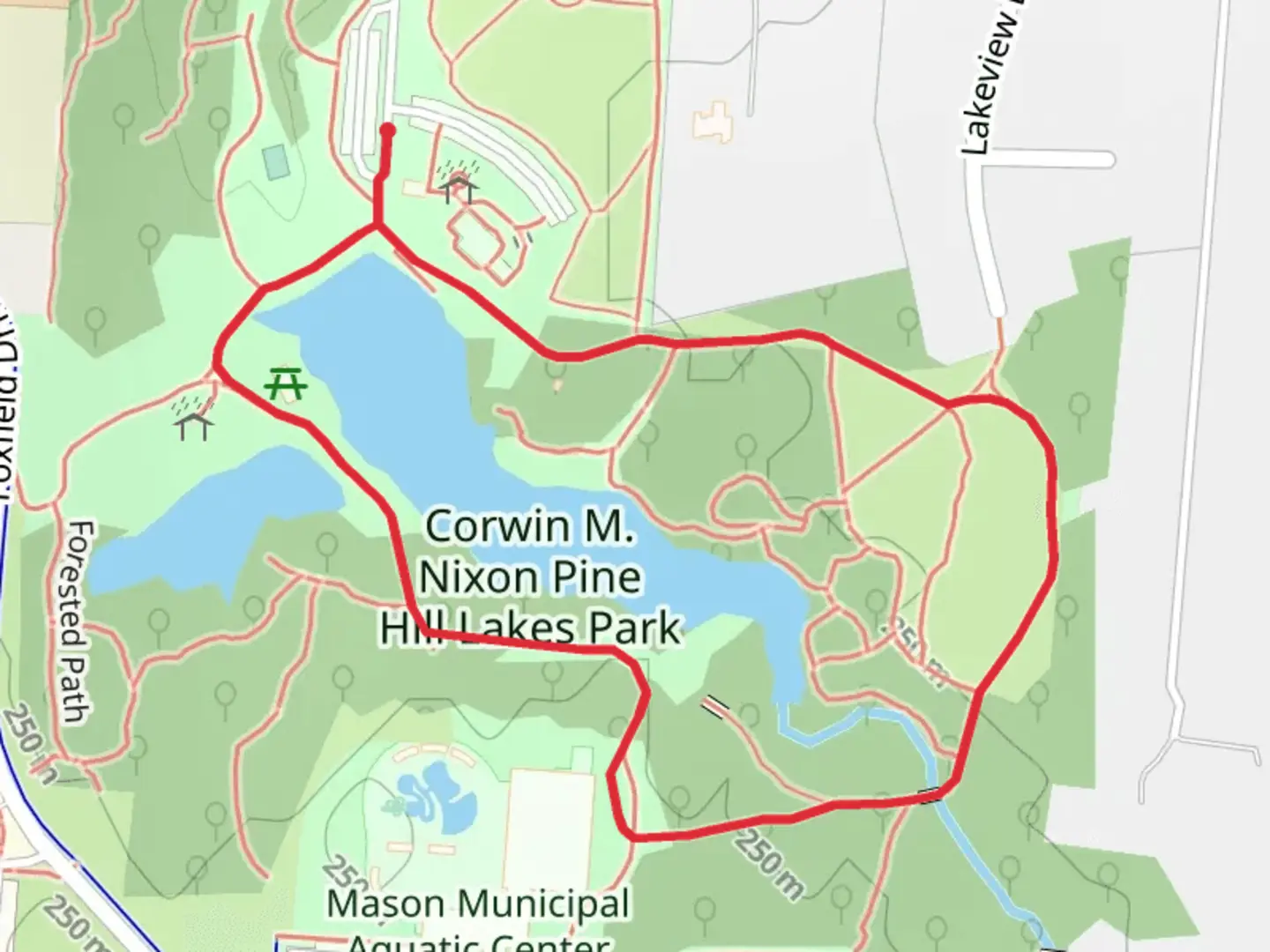 An image depicting the trail Pine Hill Lake Loop and its surrounding area.