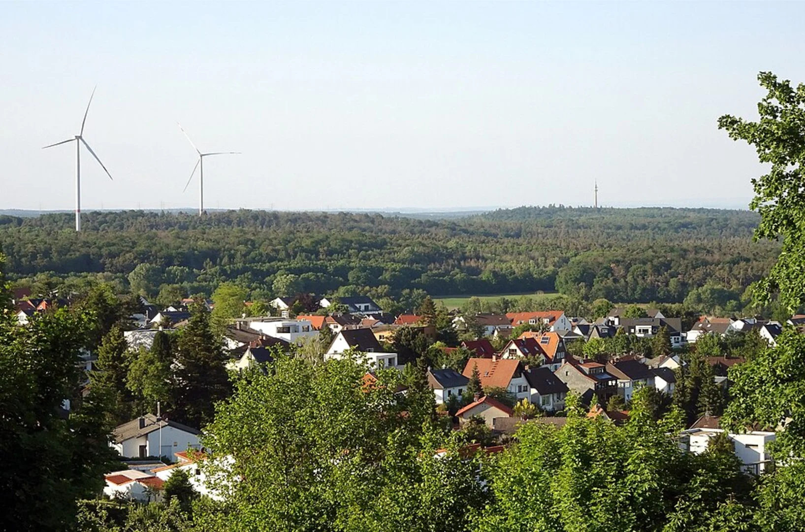 An image depicting the trail Nonnenmattweiher Loop and its surrounding area.