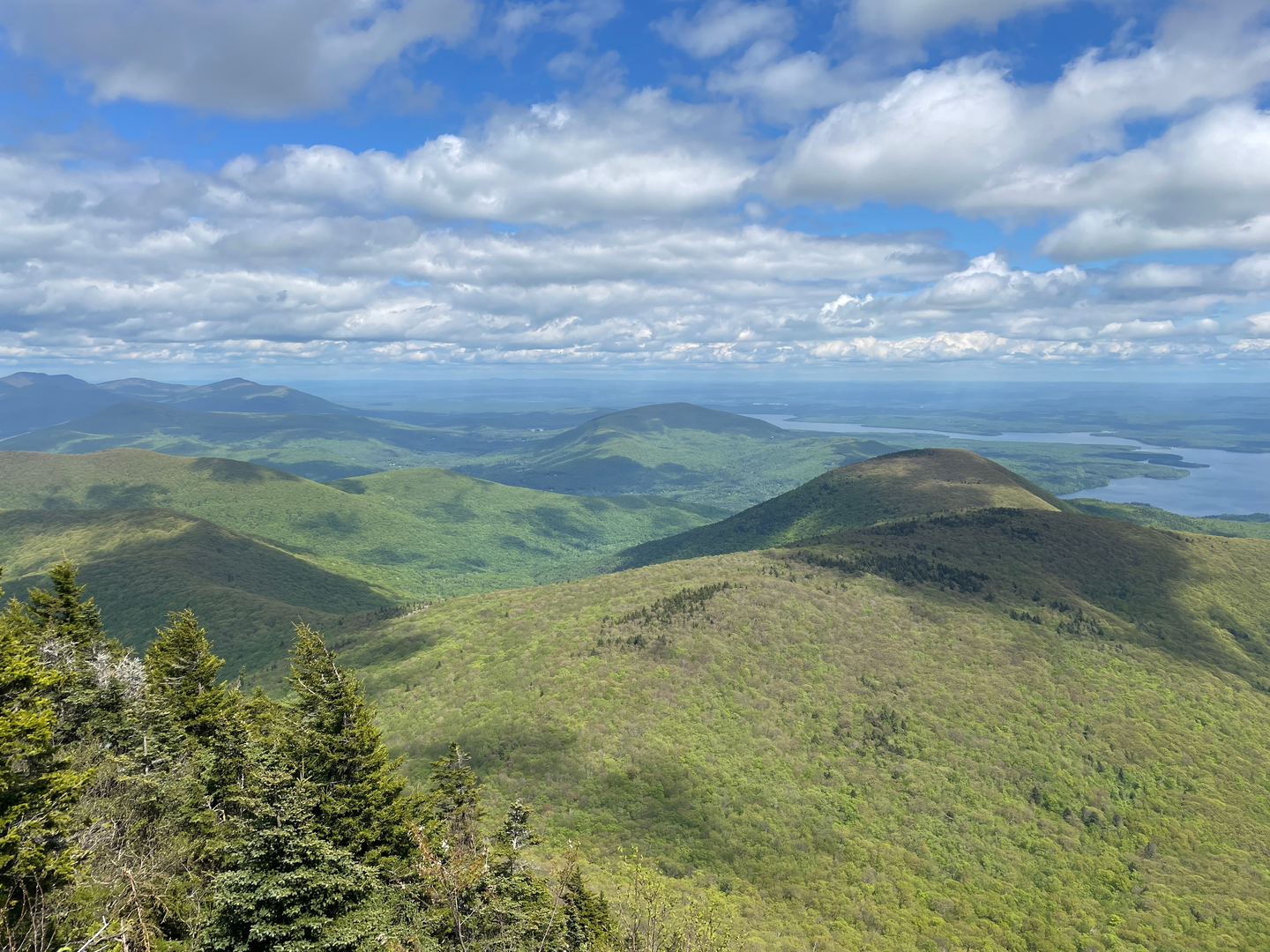 An image depicting the trail Wittenberg Summit - Sky Trail and its surrounding area.