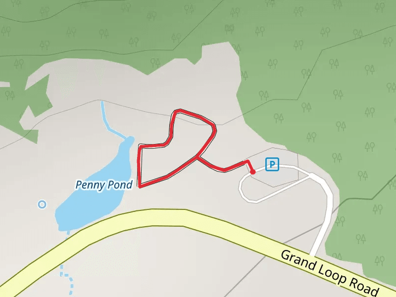 Terrace Springs Loop