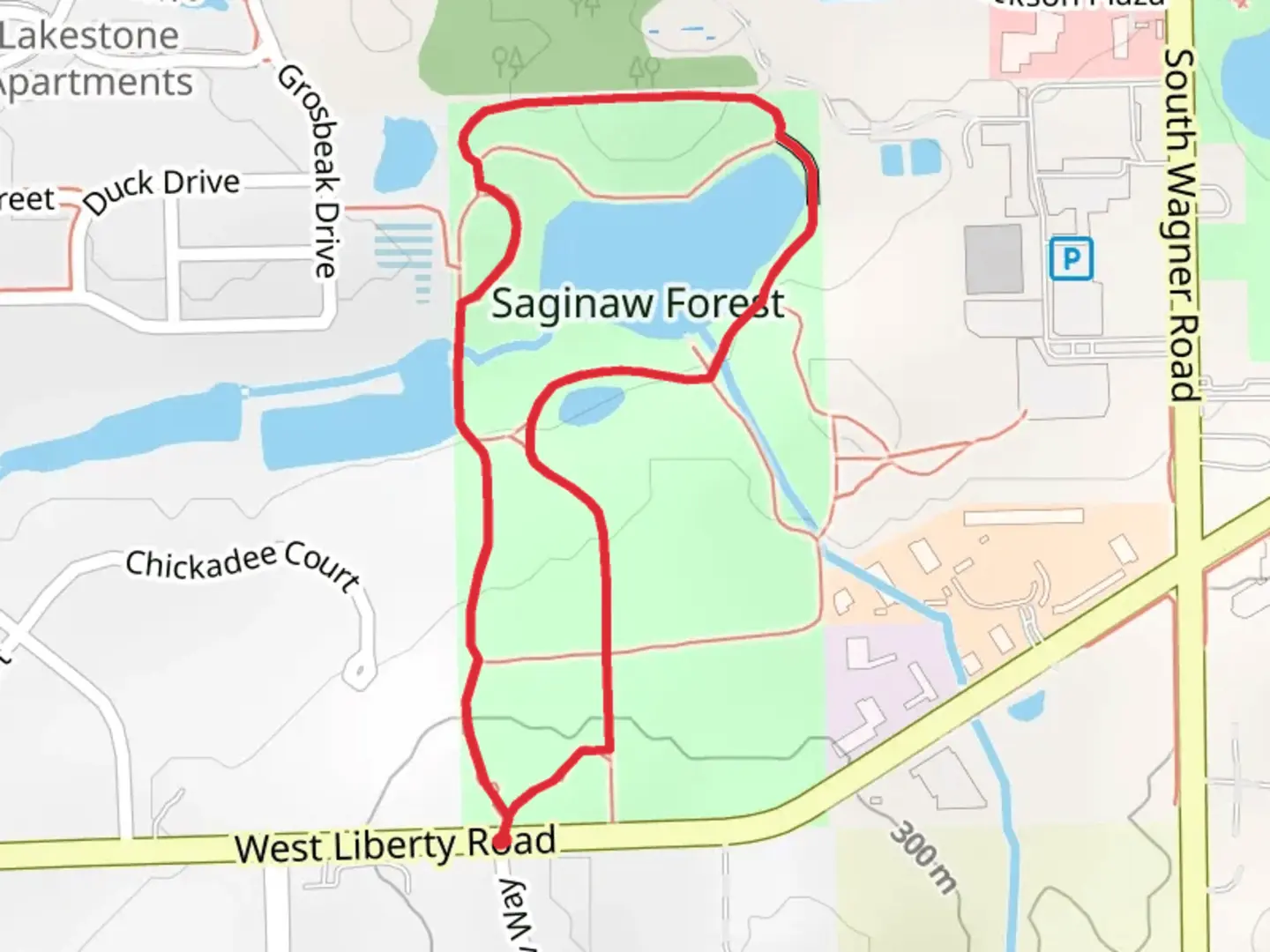An image depicting the trail Saginaw Forest Loop and its surrounding area.