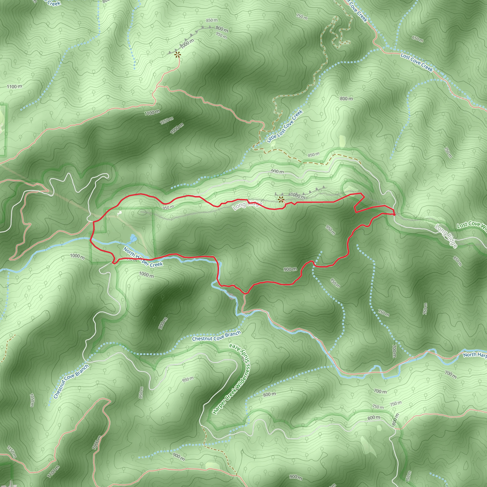 N Harper Creek Falls and Little Lost Cove Cliffs Loop mobile static map